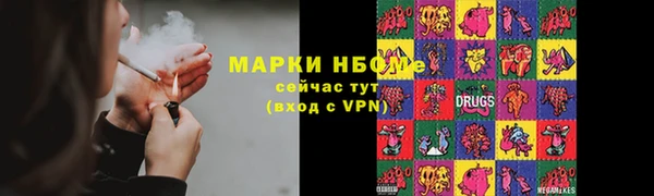 прущие грибы Инта