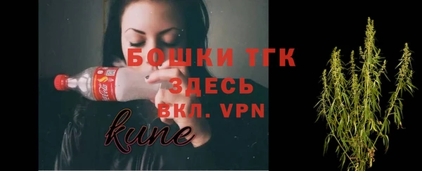 молекула духа Каменногорск
