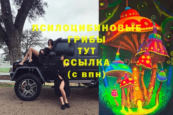 MDMA Premium VHQ Каменка