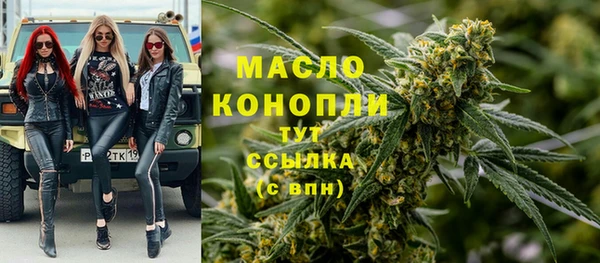 молекула духа Каменногорск