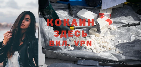 молекула духа Каменногорск