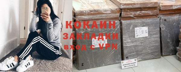 молекула духа Каменногорск