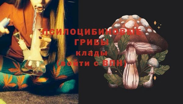 молекула духа Каменногорск