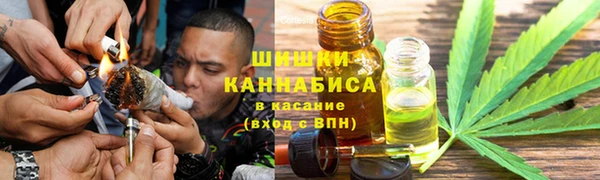 молекула духа Каменногорск