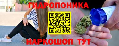 прущие грибы Волгодонск