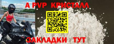 стафф Дубна