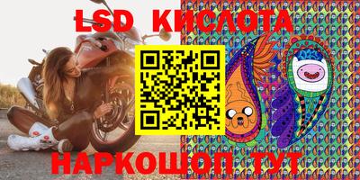 стафф Дубна