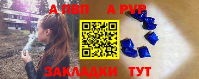 стафф Дубна