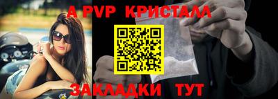 стафф Дубна