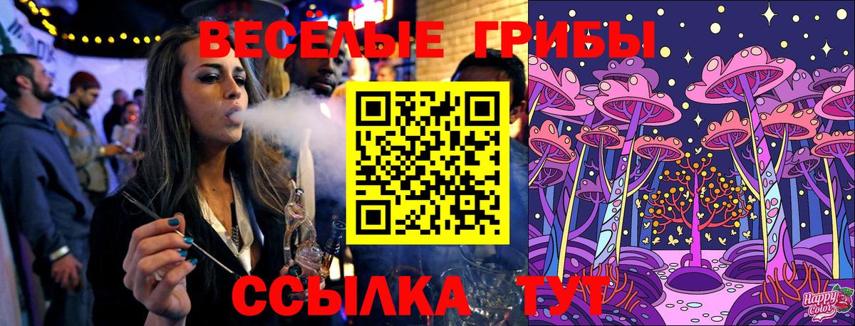 где можно купить   Псилоцибиновые грибы GOLDEN TEACHER  Прокопьевск  Галлюциногенные грибы прущие грибы 