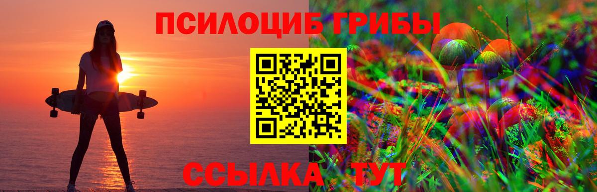Прокопьевск  Галлюциногенные грибы мухоморы  дарнет шоп  Вход с VPN  Галлюциногенные грибы Psilocybine cubensis 