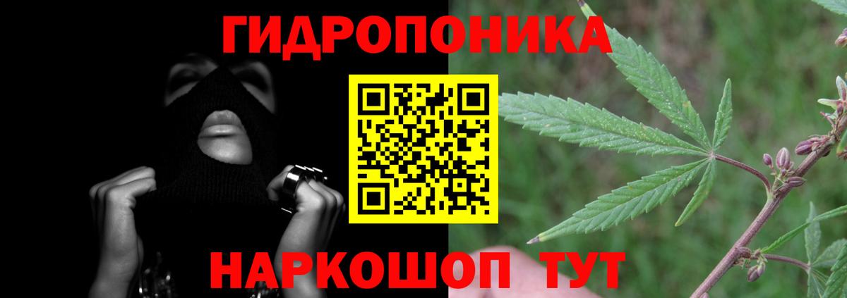 Марихуана конопля Прокопьевск